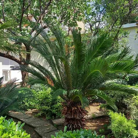 Ana, Free Garage Parking *