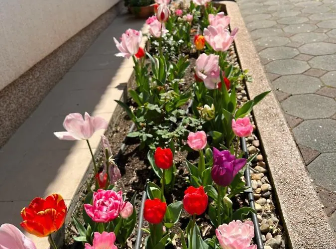 Ana, Free Garage Parking Szybenik