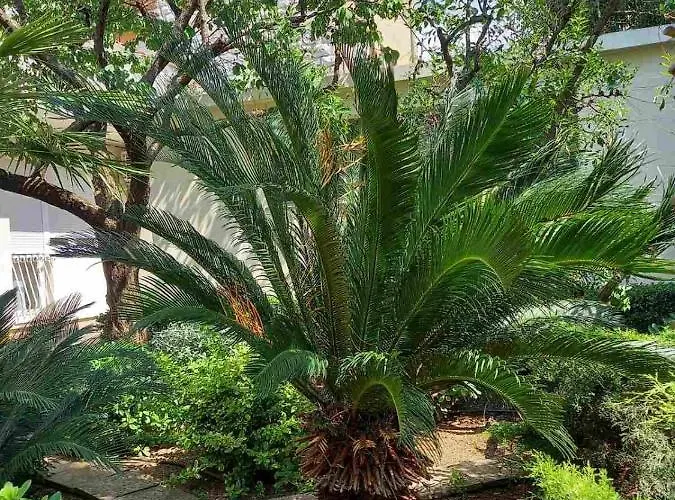 Ana, Free Garage Parking *